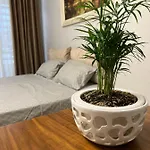 Olive Apartamento