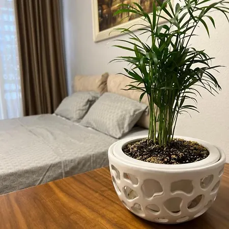 Olive Apartman