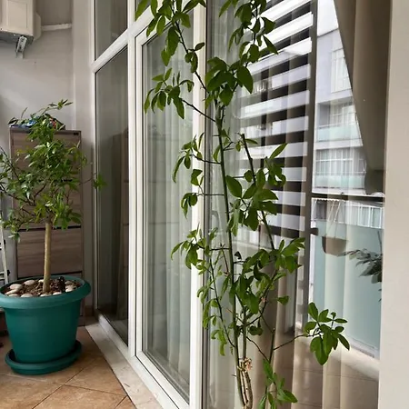 Olive Apartman