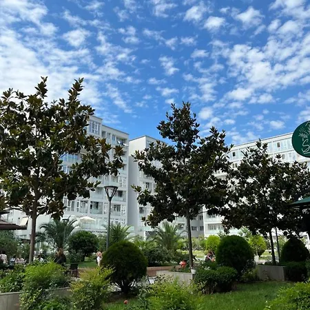 Apartman Olive