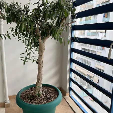Olive Apartment *